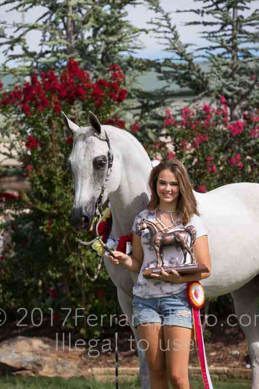 Proof Number 17YN_3735