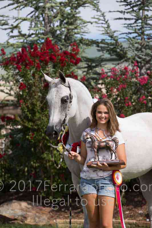 Proof Number 17YN_3739