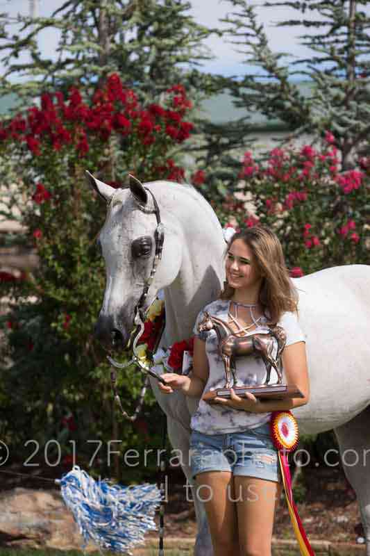 Proof Number 17YN_3746