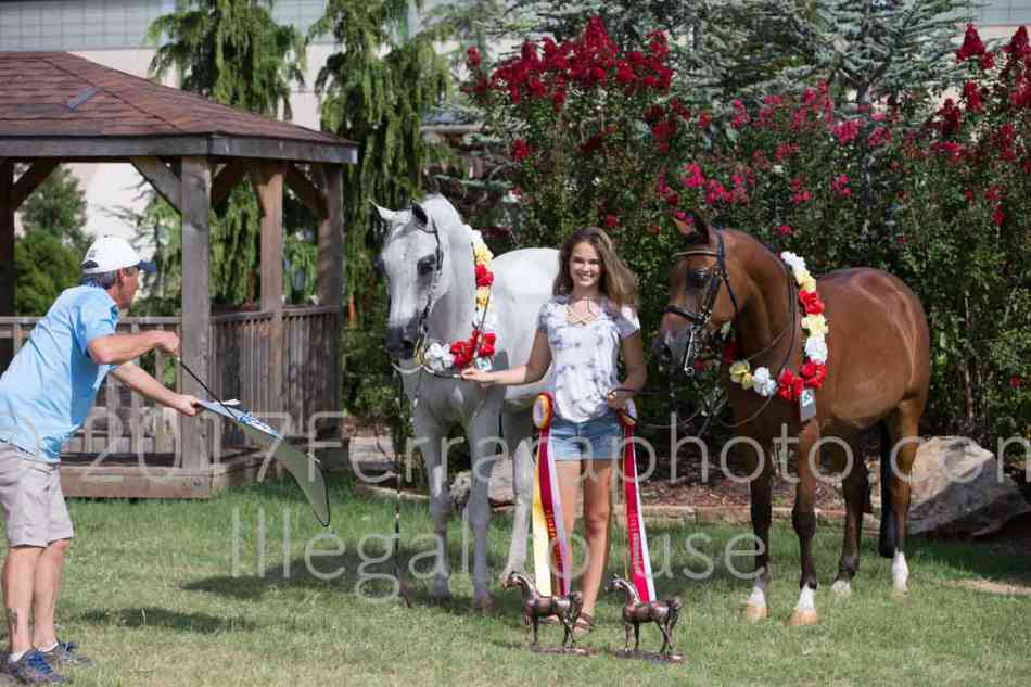 Proof Number 17YN_3765