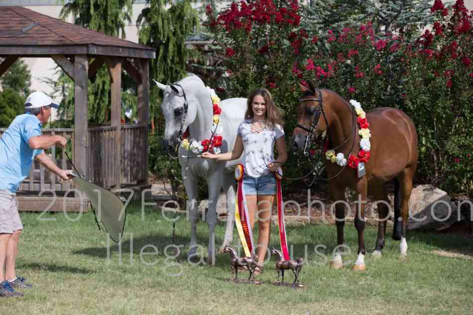 Proof Number 17YN_3768