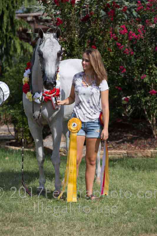 Proof Number 17YN_3789