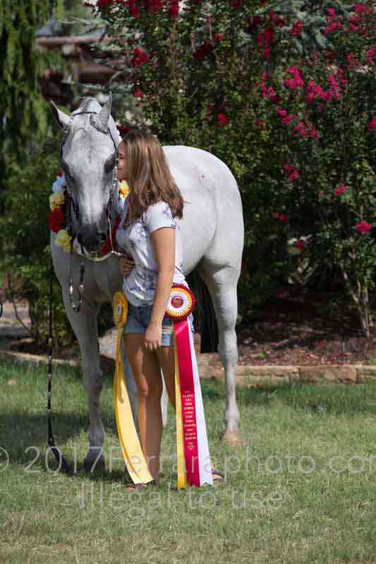 Proof Number 17YN_3793