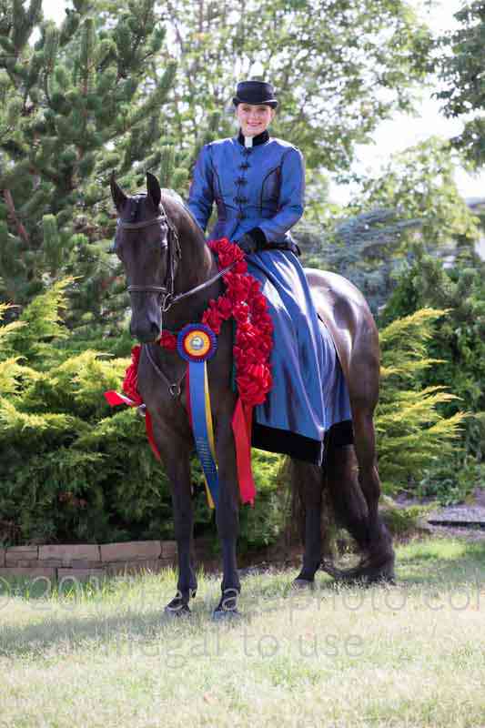 Proof Number 17YN_3801