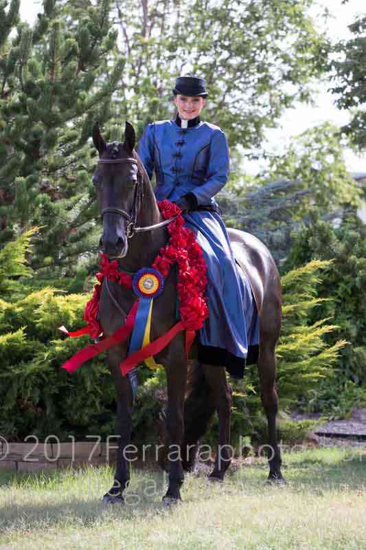 Proof Number 17YN_3807