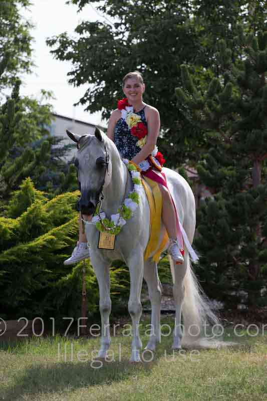 Proof Number 17YN_3841