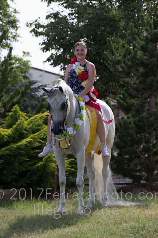 Proof Number 17YN_3845