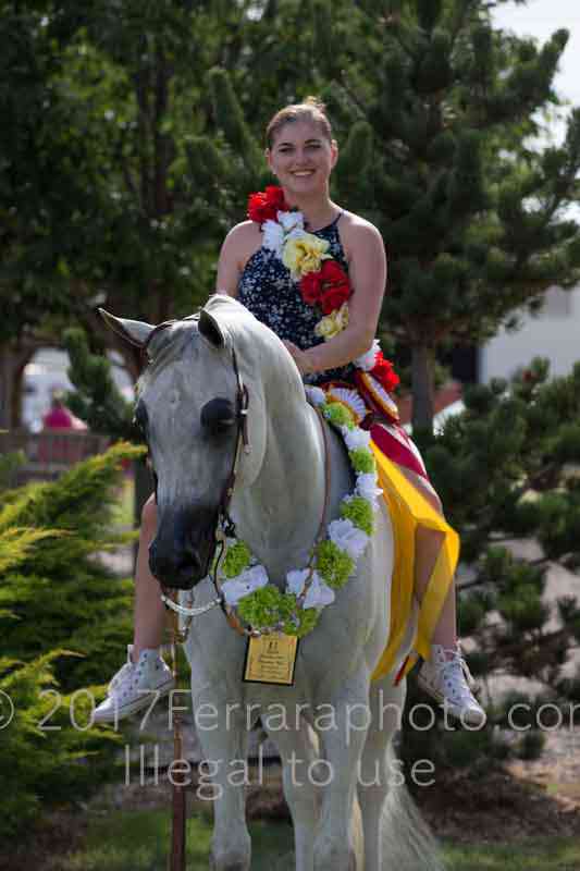 Proof Number 17YN_3848