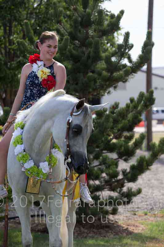 Proof Number 17YN_3850