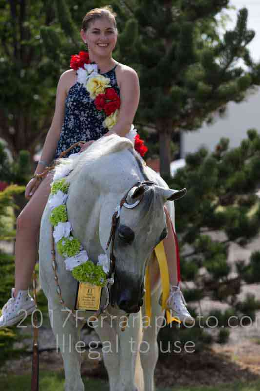 Proof Number 17YN_3852