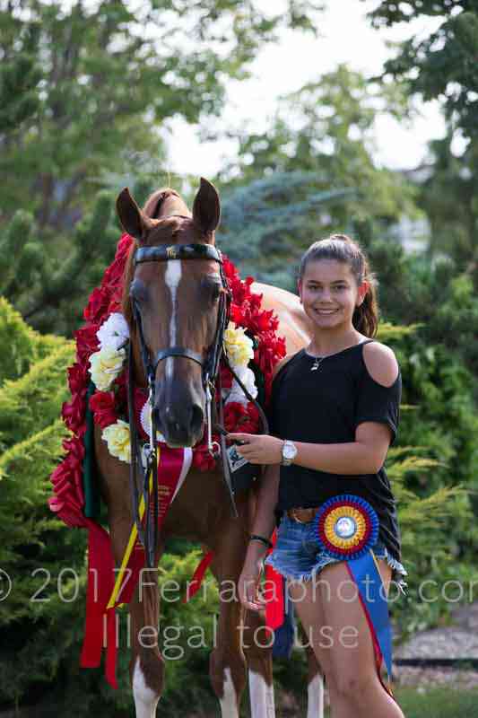 Proof Number 17YN_3903