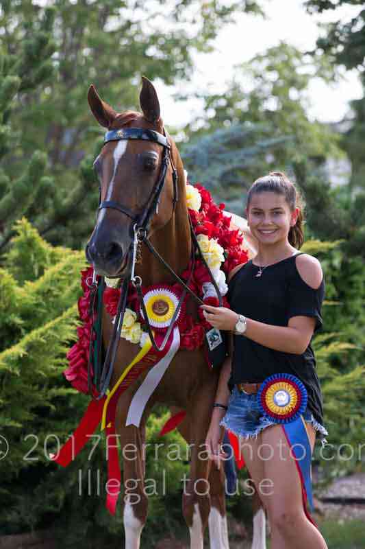 Proof Number 17YN_3906