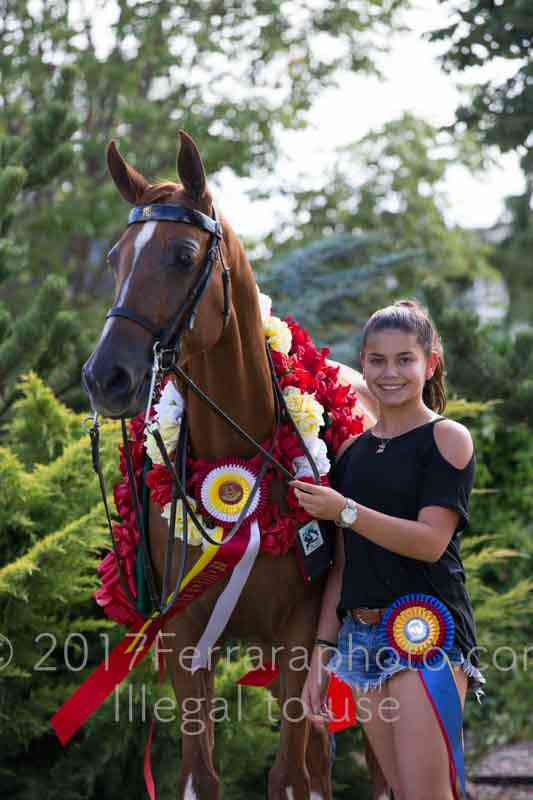 Proof Number 17YN_3907