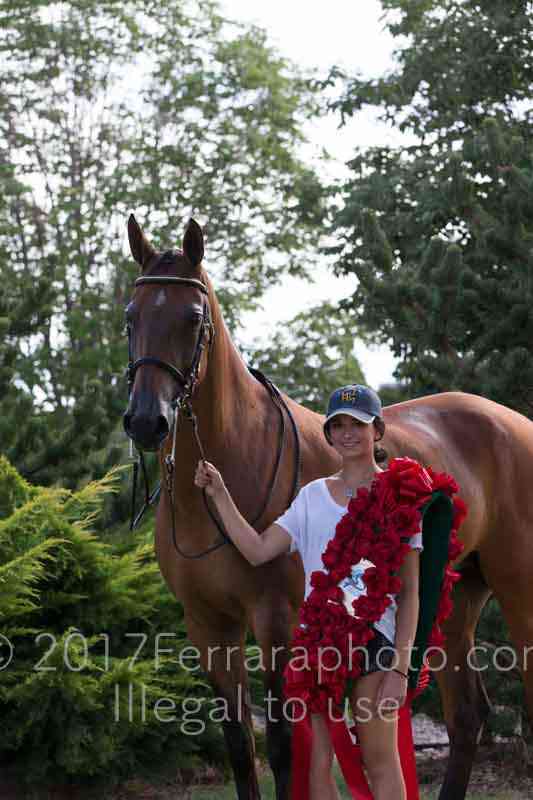 Proof Number 17YN_3915