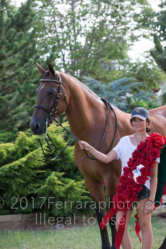 Proof Number 17YN_3934