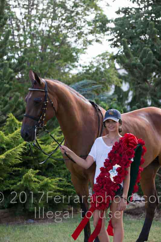 Proof Number 17YN_3946