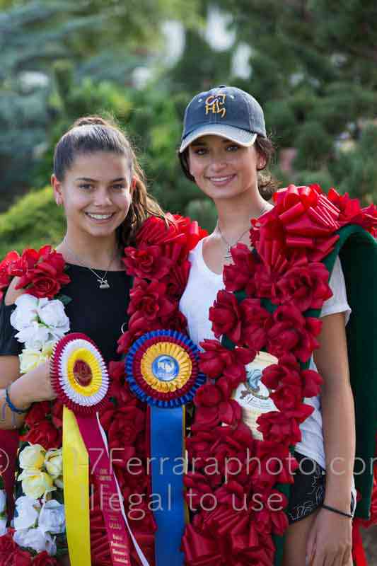 Proof Number 17YN_3953