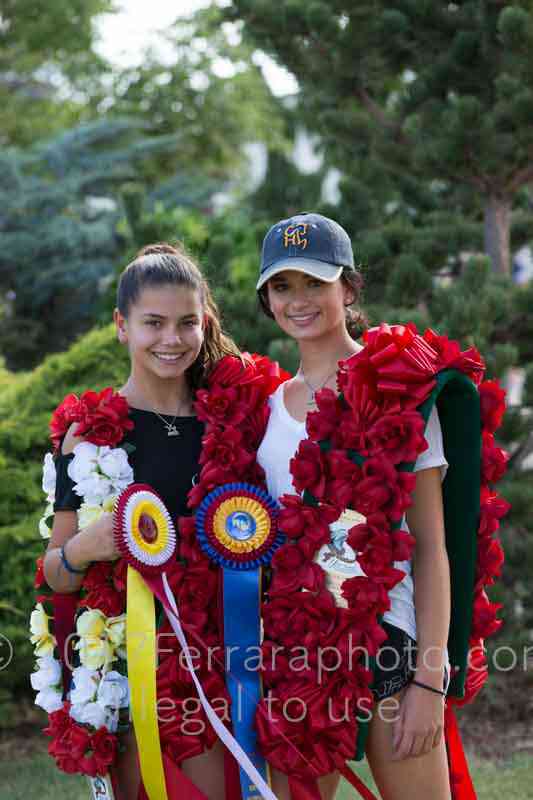 Proof Number 17YN_3954