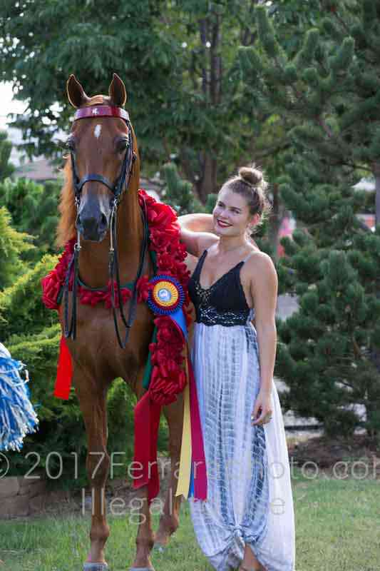 Proof Number 17YN_3964