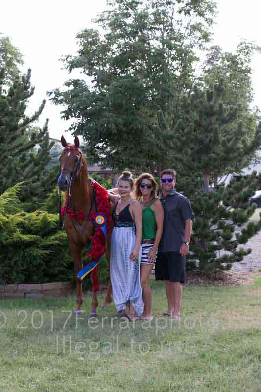 Proof Number 17YN_3976