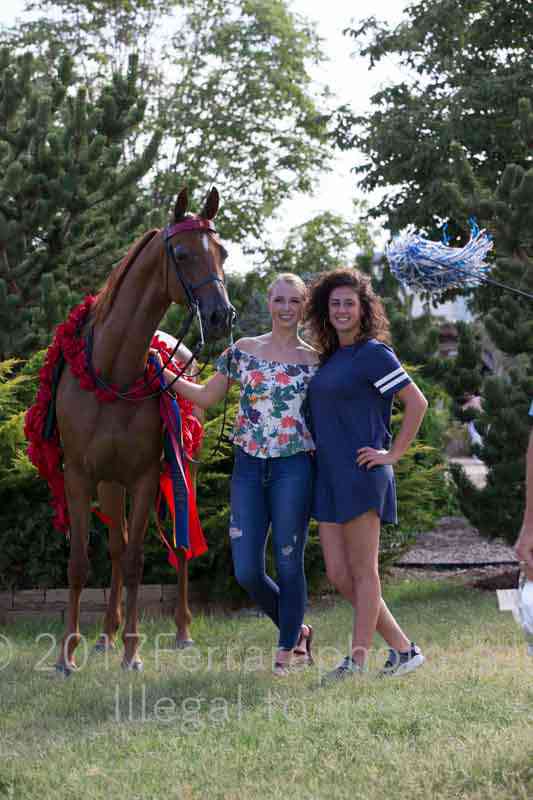 Proof Number 17YN_4001