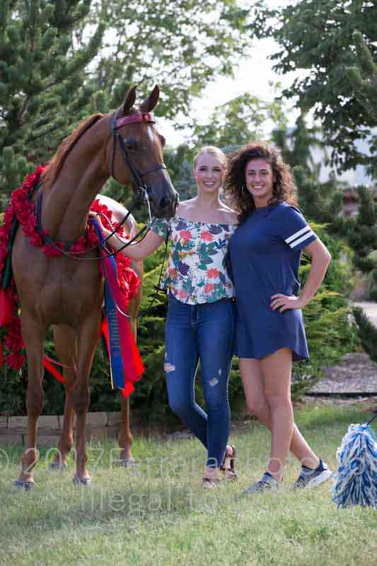 Proof Number 17YN_4003