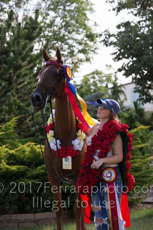 Proof Number 17YN_4021