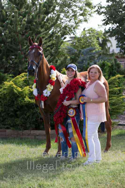 Proof Number 17YN_4043