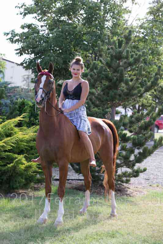 Proof Number 17YN_4055