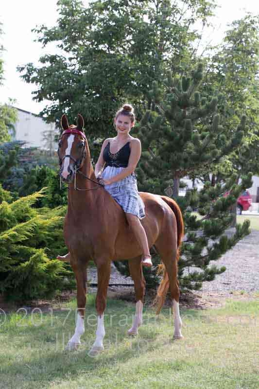 Proof Number 17YN_4060