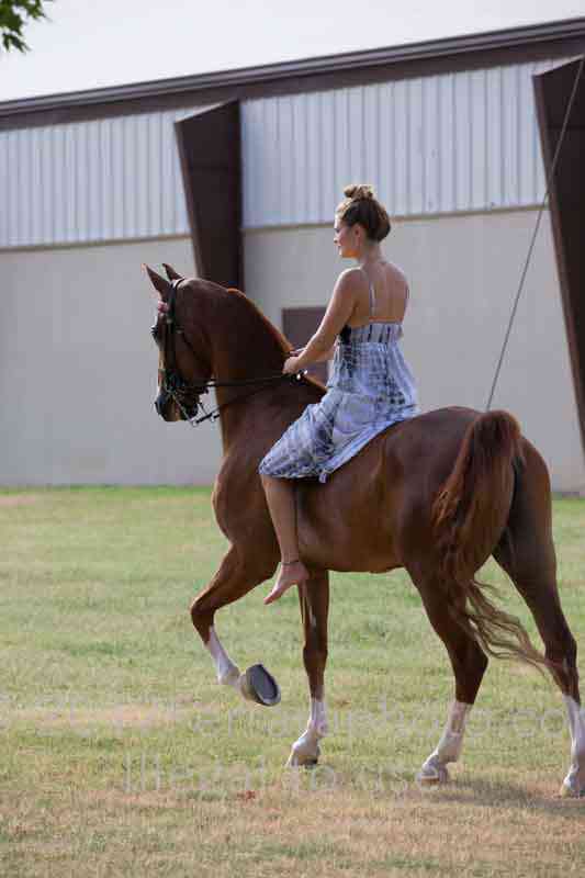 Proof Number 17YN_4073