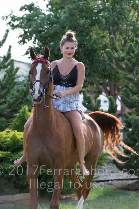 Proof Number 17YN_4078