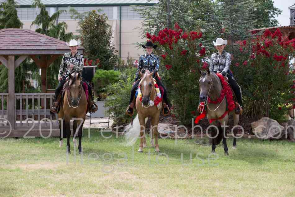 Proof Number 17YN_1279