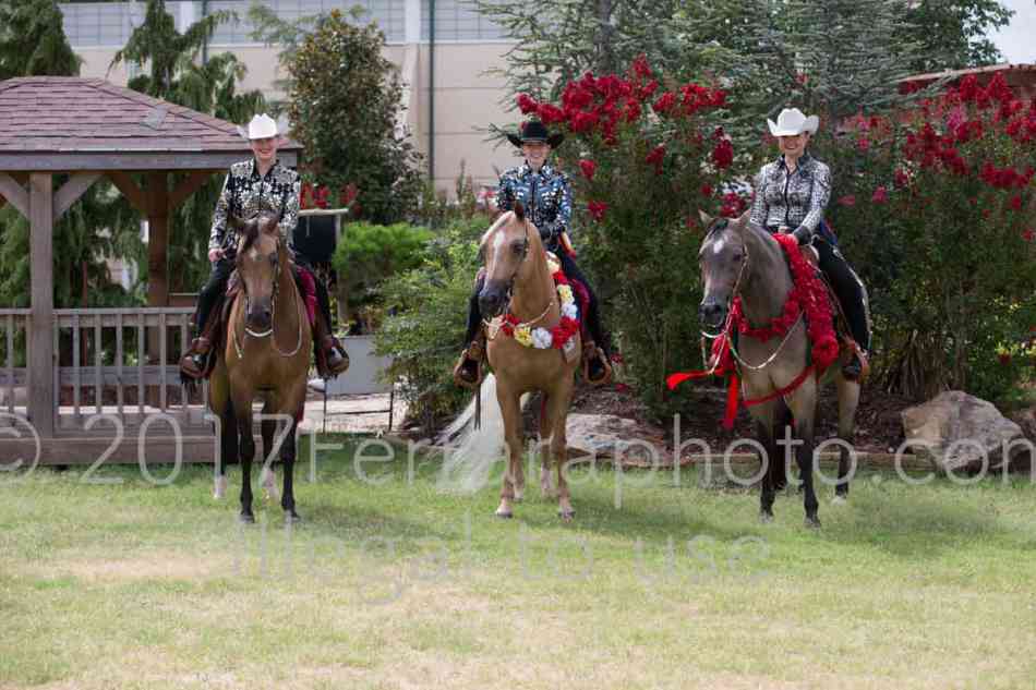 Proof Number 17YN_1280