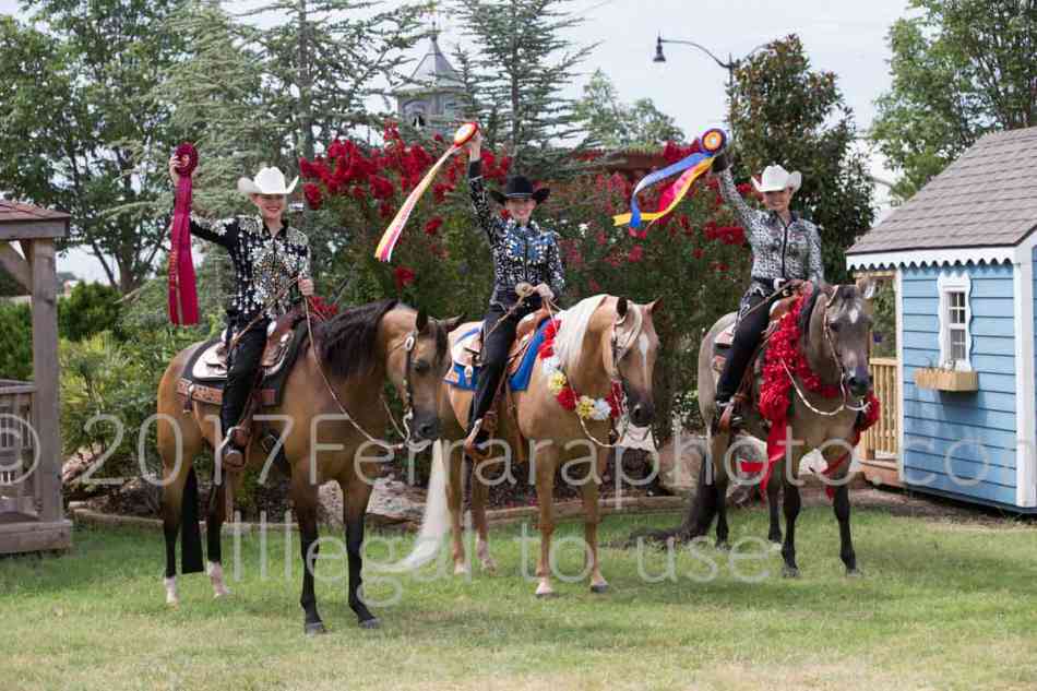 Proof Number 17YN_1310