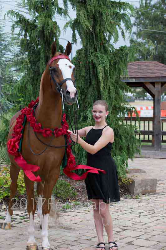 Proof Number 17YN_1385