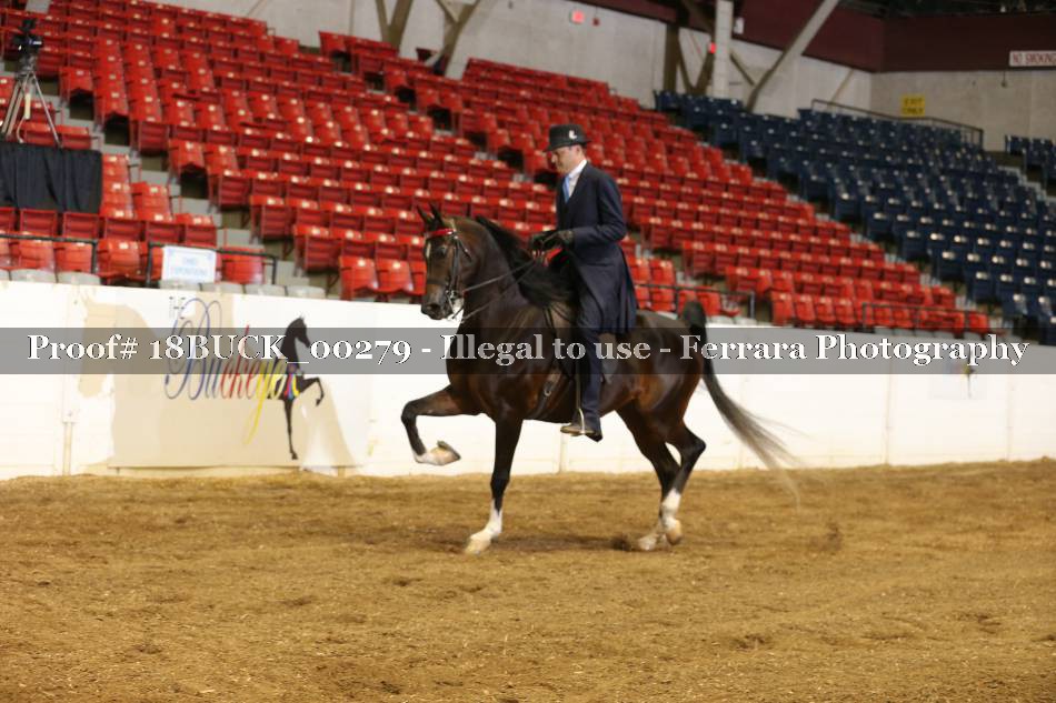 Proof Number 18BUCK_00279
