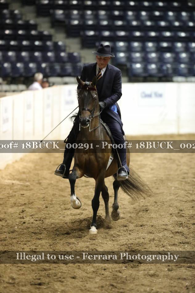 Proof Number 18BUCK_00291