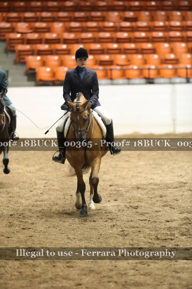 Proof Number 18BUCK_00365