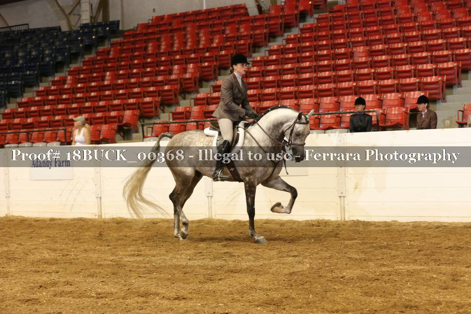 Proof Number 18BUCK_00368