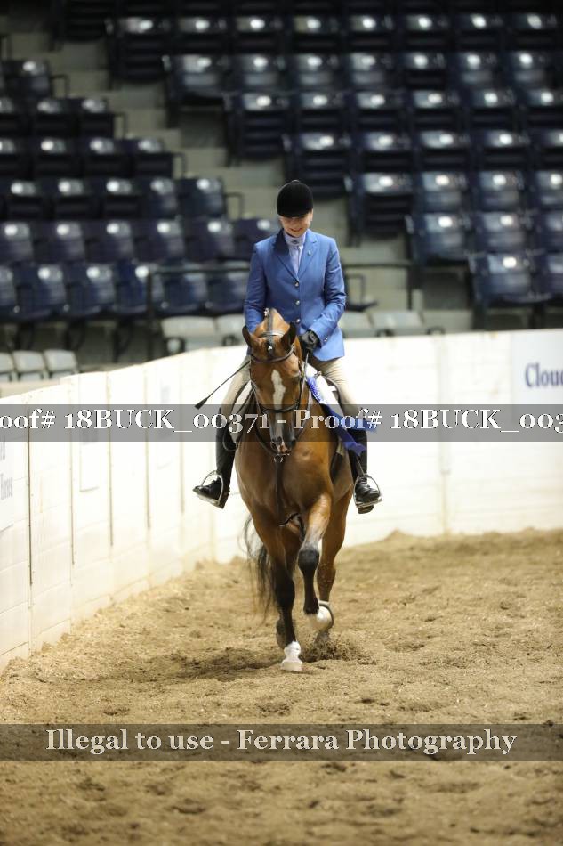 Proof Number 18BUCK_00371