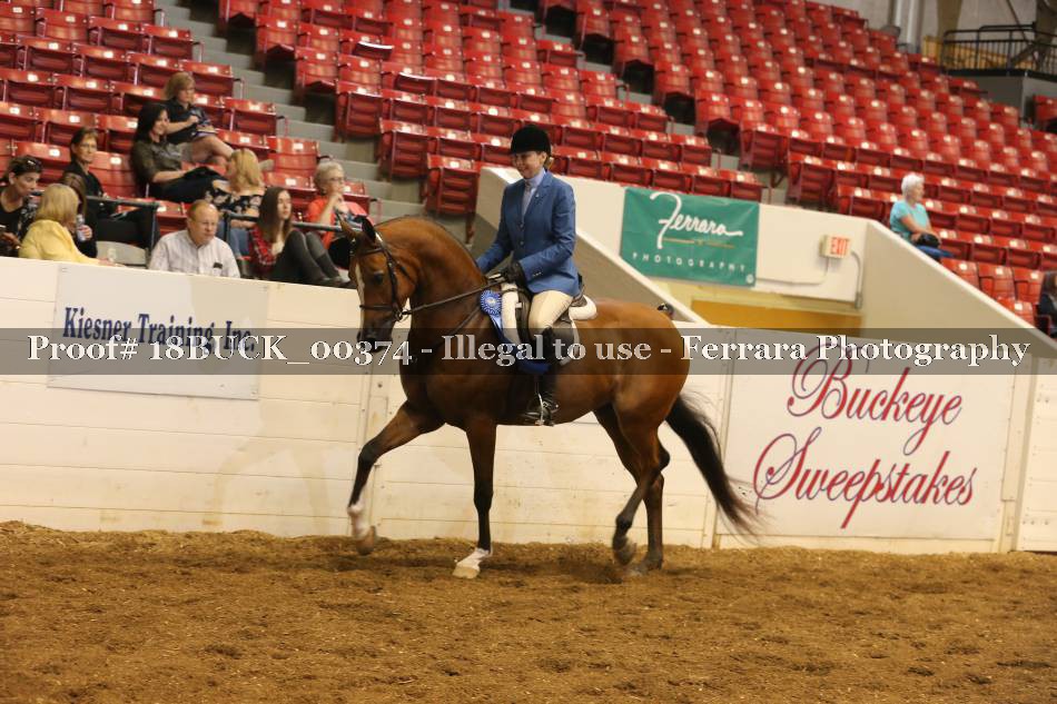 Proof Number 18BUCK_00374