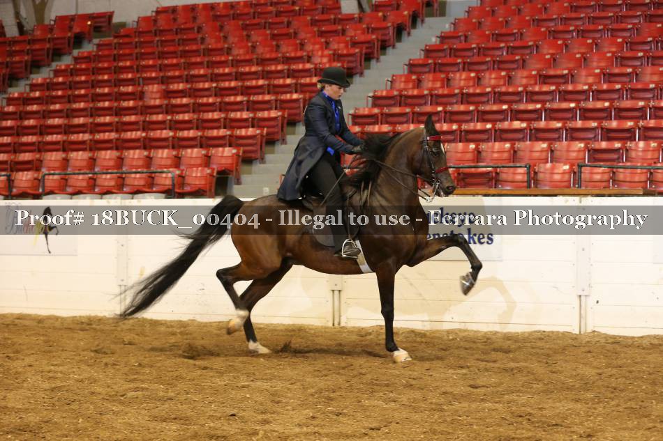 Proof Number 18BUCK_00404