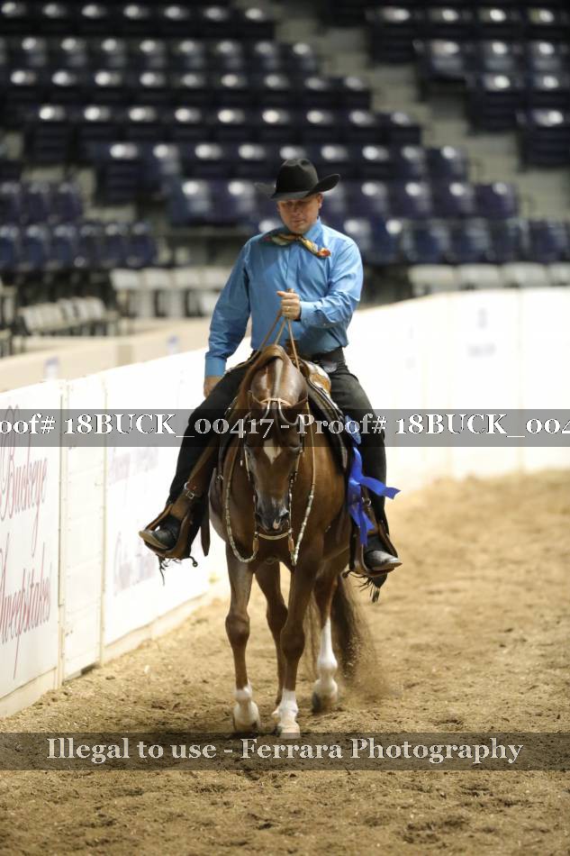Proof Number 18BUCK_00417