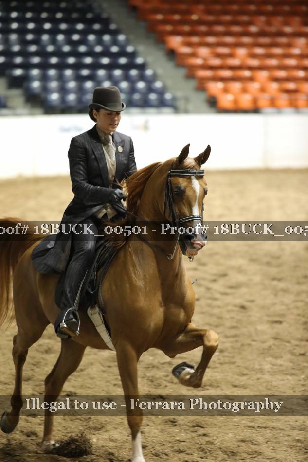 Proof Number 18BUCK_00501