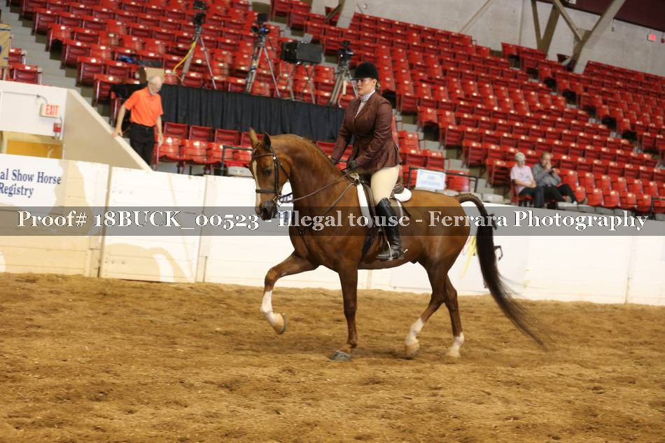 Proof Number 18BUCK_00523