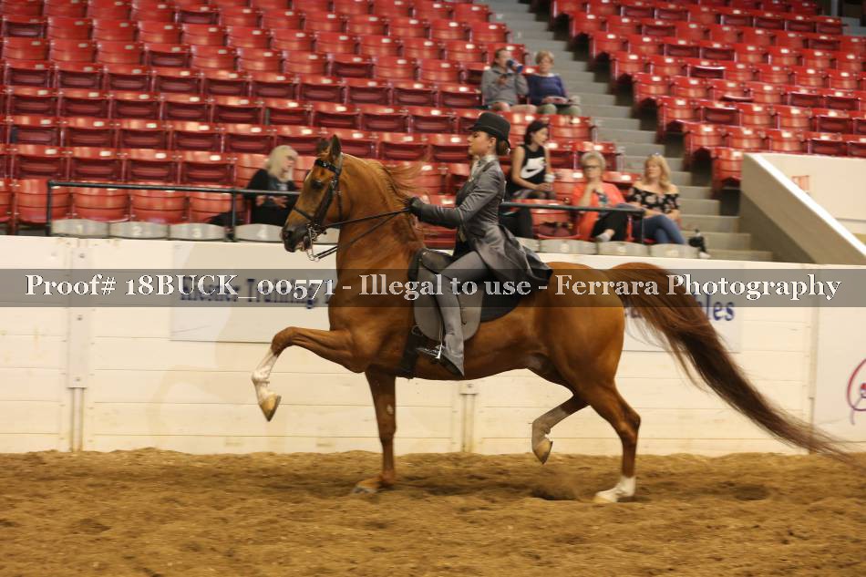 Proof Number 18BUCK_00571