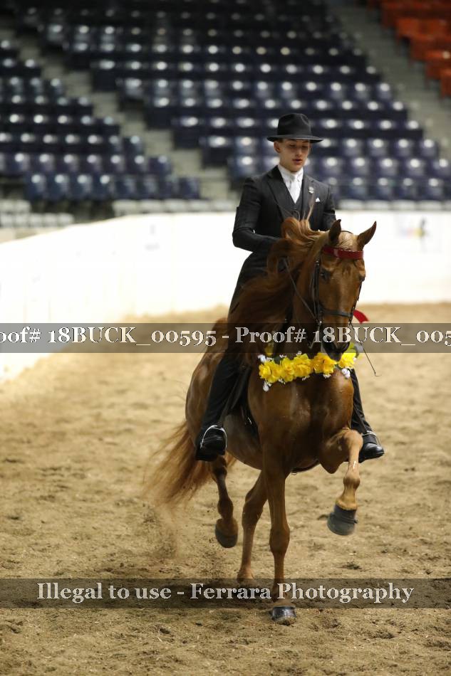 Proof Number 18BUCK_00595