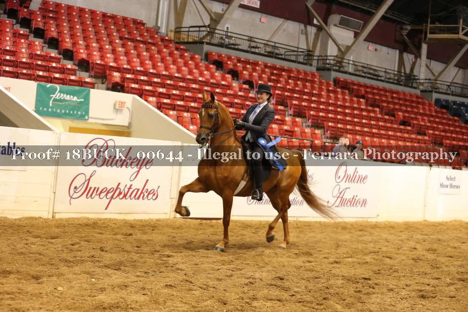 Proof Number 18BUCK_00644