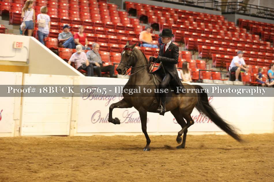 Proof Number 18BUCK_00765
